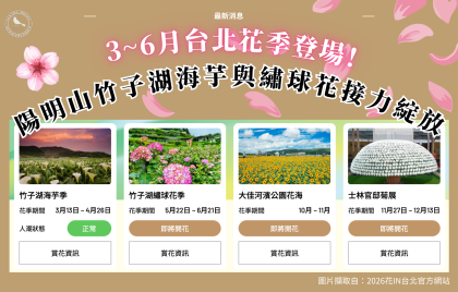 花季登場！陽明山竹子湖海芋與繡球花接力綻放